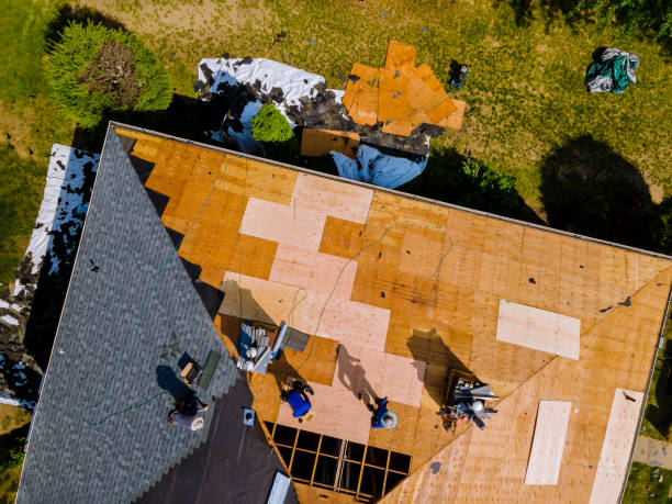 Best Roof Repair Services  in Western Lake, TX