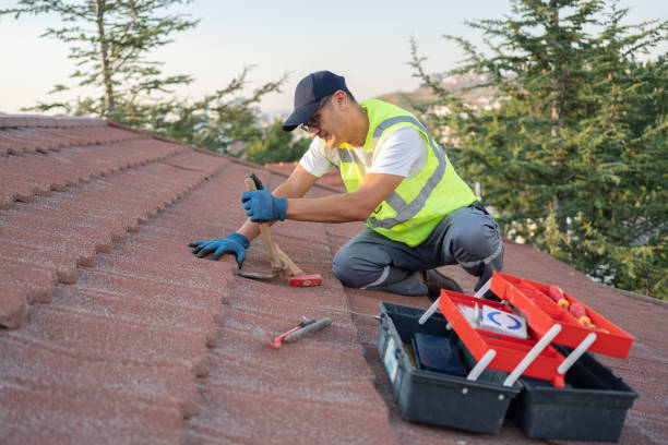 Professional Roofing Contractor in Western Lake, TX